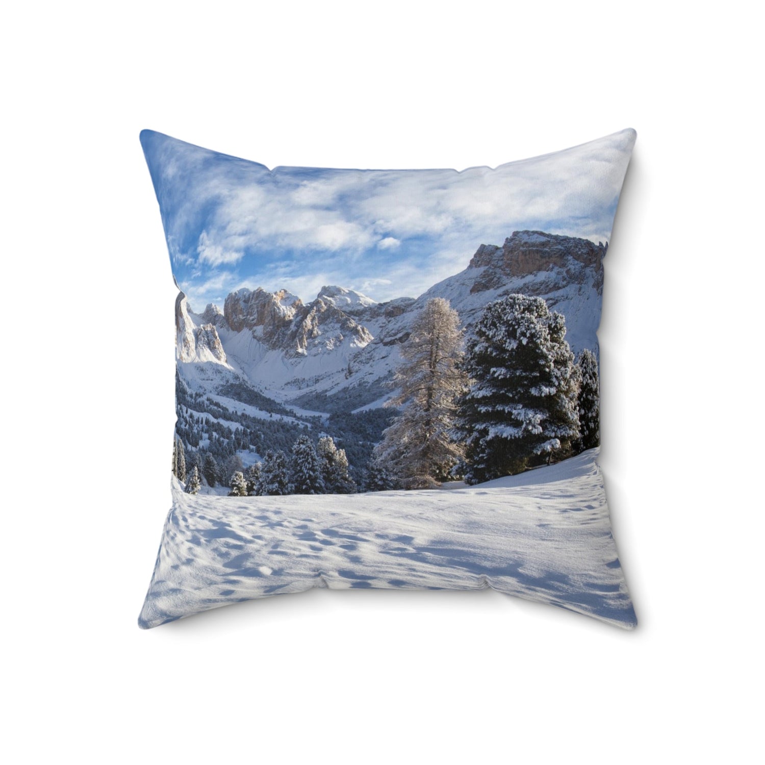 Throw Pillows Decor