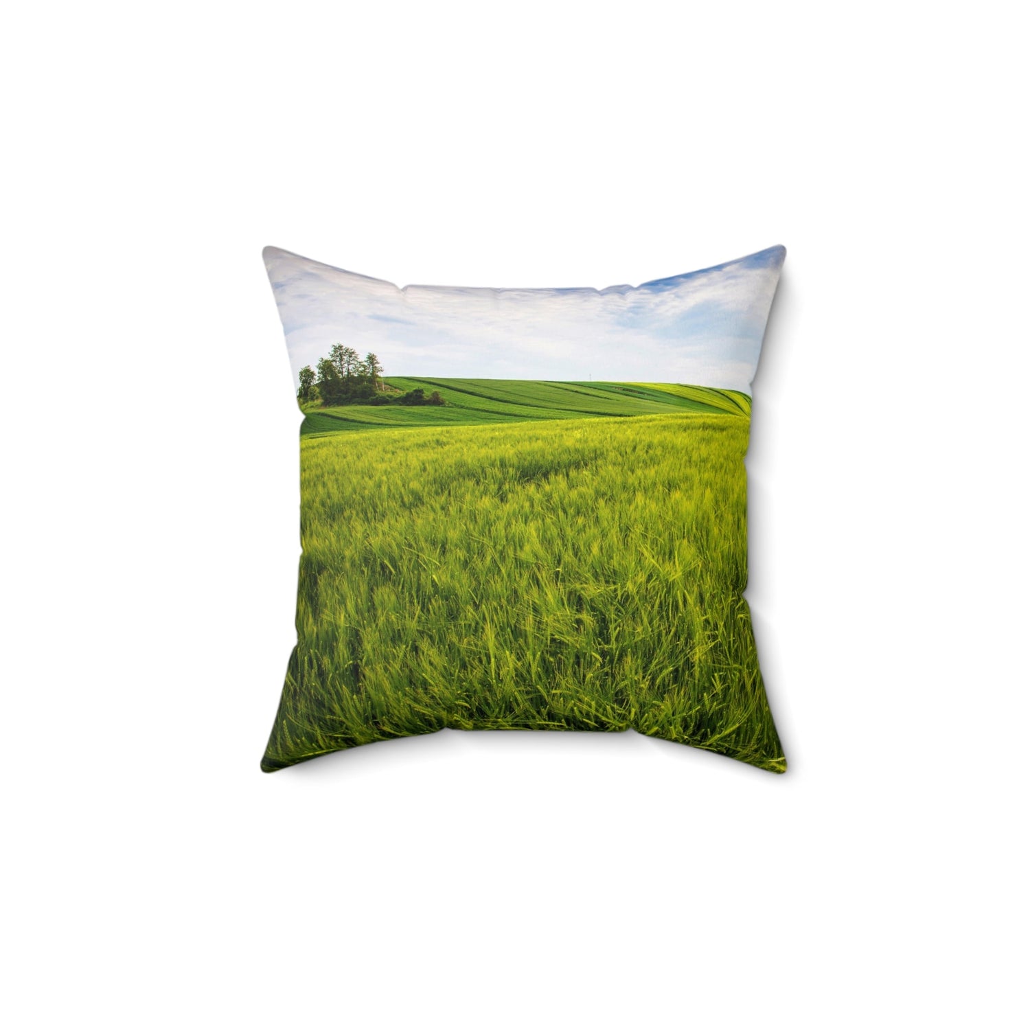 Home Decor Throw Pillows Bedroom Couch Pillows and Throws Sofa Accent Pillows Living Room Petrova Designs