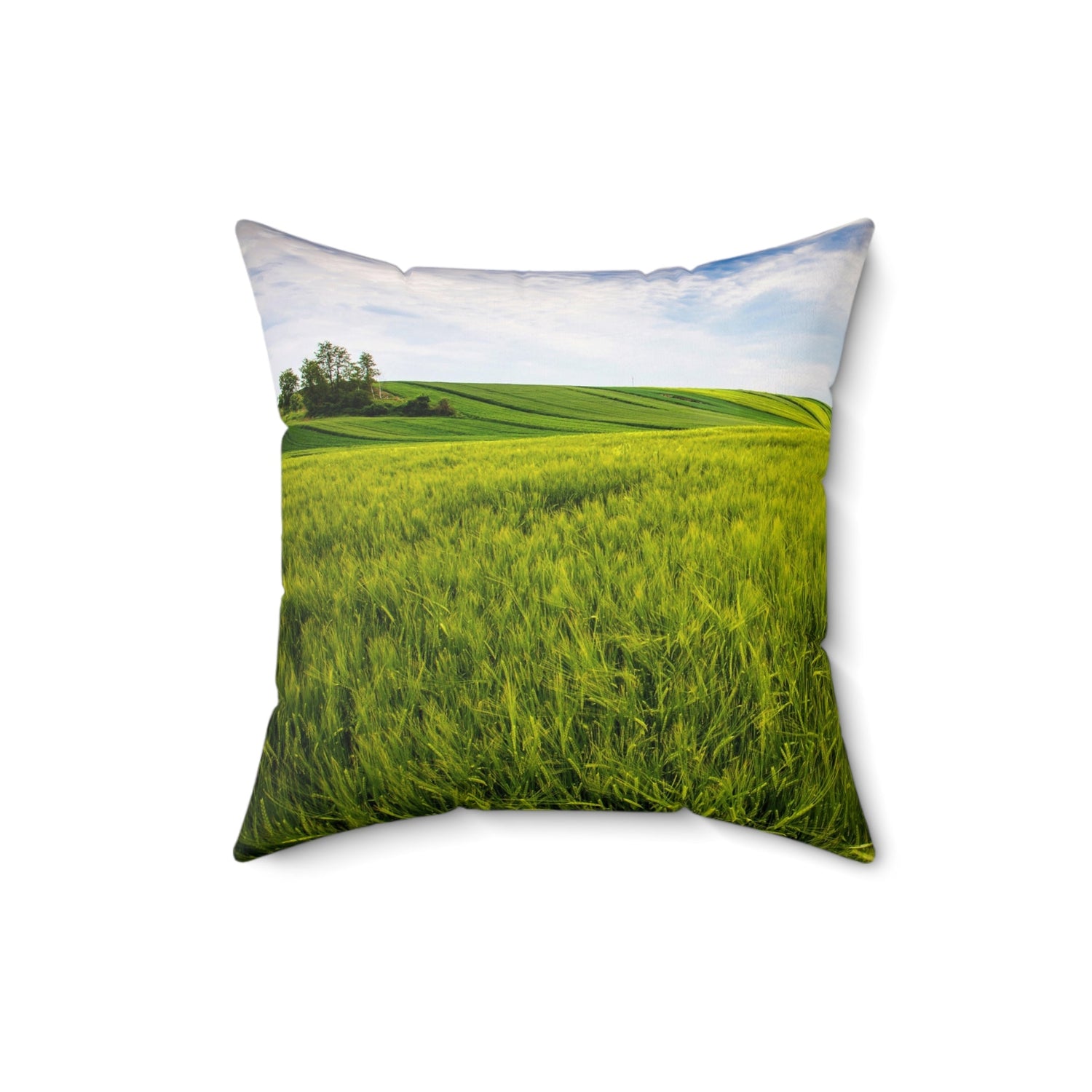 Home Decor Throw Pillows Bedroom Couch Pillows and Throws Sofa Accent Pillows Living Room Petrova Designs